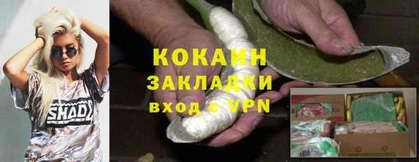 ALPHA-PVP Богородицк