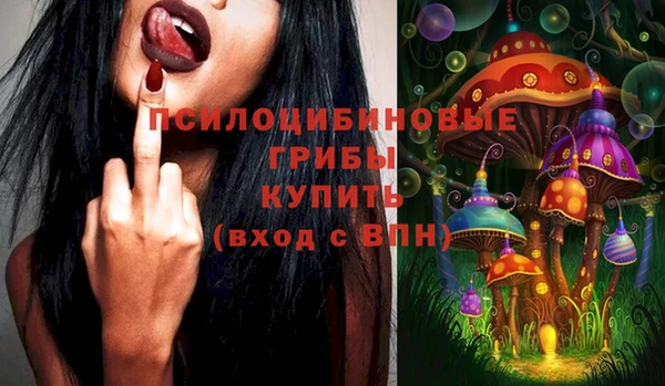 ALPHA-PVP Богородицк