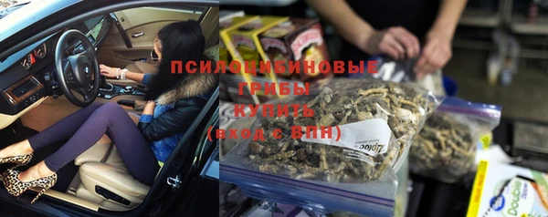 ALPHA-PVP Богородицк